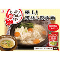 AJINOMOTO CHICKEN SOUP SEASNING POWDER 55G