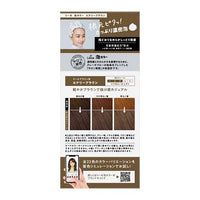 KAO Liese Prettia Bubble Hair Color Airy Brown LAW16