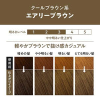 KAO Liese Prettia Bubble Hair Color Airy Brown LAW16