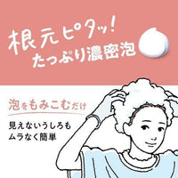 KAO Liese Prettia Bubble Hair Color Airy Brown LAW16