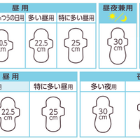 花王乐而雅 F系列日用无护翼卫生巾 225mm