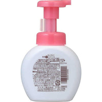 LION KireiKirei Medicated Foaming Hand Soap Fruit Mix Fragrance 250ml