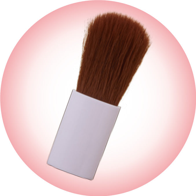 CANMAKE Powder Cheeks PW25 Sugar Orange