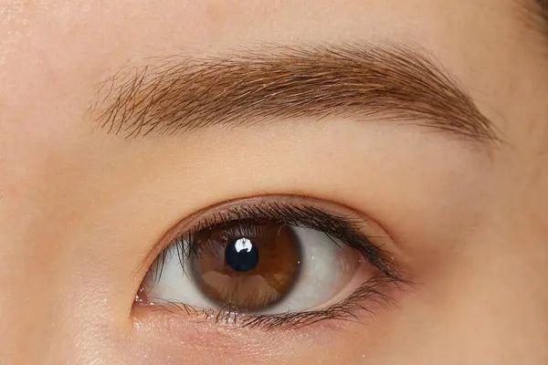 日本井田CANMAKE 幻變眉膏 06 自然啡色