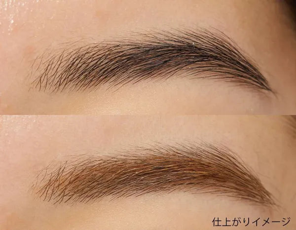 日本井田CANMAKE 幻變眉膏 06 自然啡色