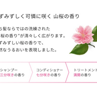 Ichikami Nameraka Smooth Care Conditioner