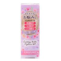 CANMAKE Lasting Multi Eyebase WP 01 Frosty Clear