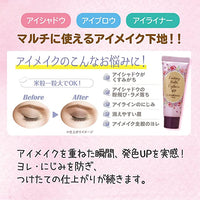 CANMAKE Lasting Multi Eyebase WP 01 Frosty Clear