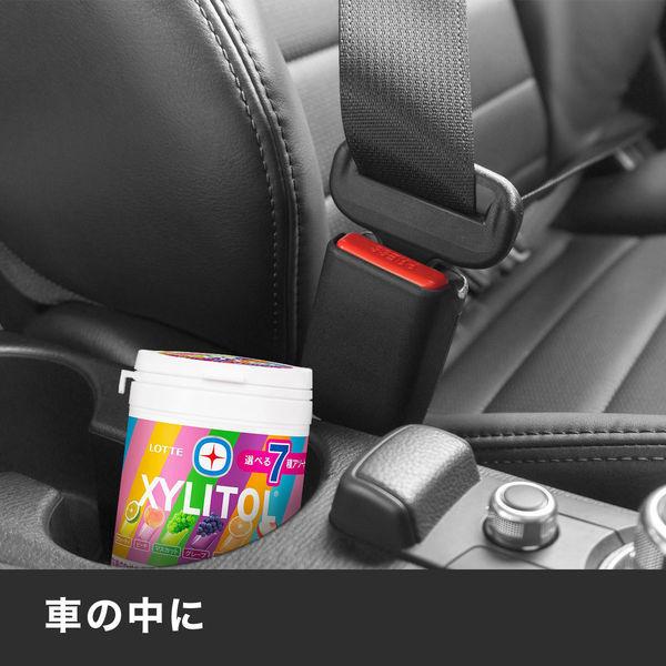 乐天 木糖醇口香糖 七种什锦水果味瓶装 (143g)