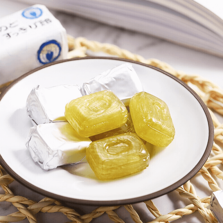 龙角散 草本薄荷润喉糖 10粒装