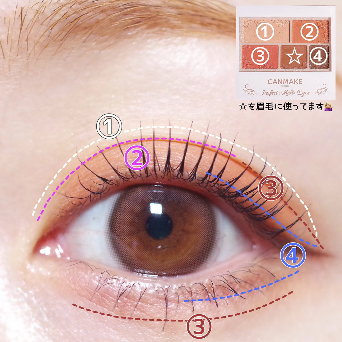 日本井田CANMAKE 完美幻變眼影 07 假日橙色