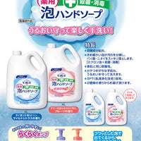 Kao Biore u foam hand soap fruit pump body 240ml