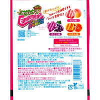 KANRO Candemina Hard Gummy Juicy Paradise 72g