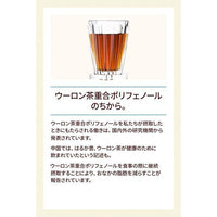 SUNTORY Oolong Tea 2L