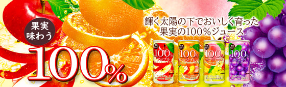 Sangaria fruit taste 100% fruit mixed juice 190g