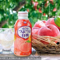 FUJIYA NECTAR WHITE PEACH 380G