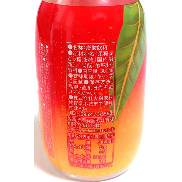 Tomomasu mango cider 300ml