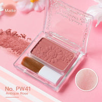 CANMAKE Powder Cheeks PW41 Antique Rose