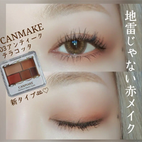 日本井田CANMAKE 完美幻變眼影 03 陶土啡